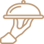 feature icon